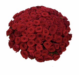 Букет из 101 красной розы ( 60 см)
