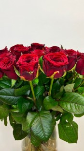 Роза российская Red naomy (ароматная 60см)