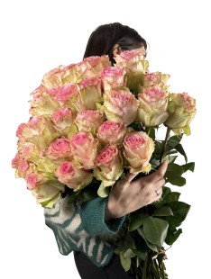 Роза Esperance 60 см