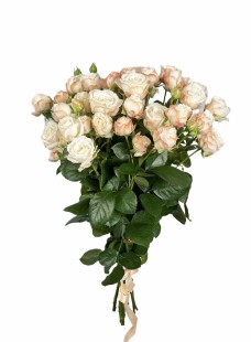 Букет из 7 кустовых роз 