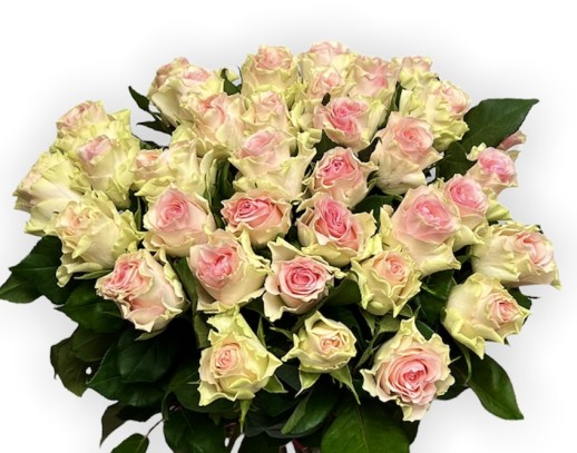 Букет из 35 роз (40 см)