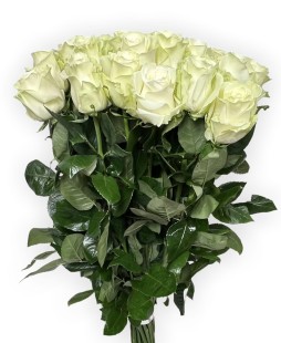 Букет из 17 белых роз (70-80 см)