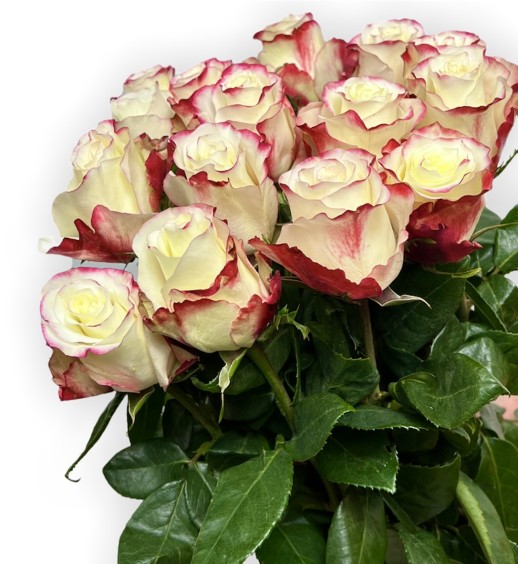 Букет из 15 роз (70-80см)