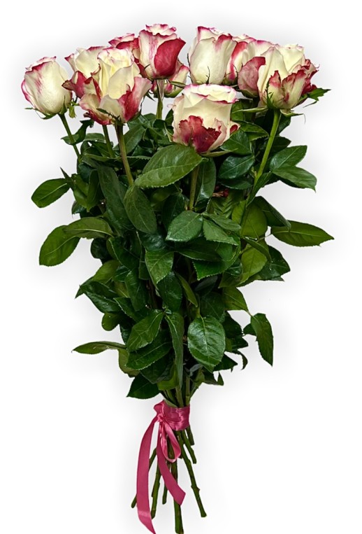 Букет из 15 роз (70-80см)